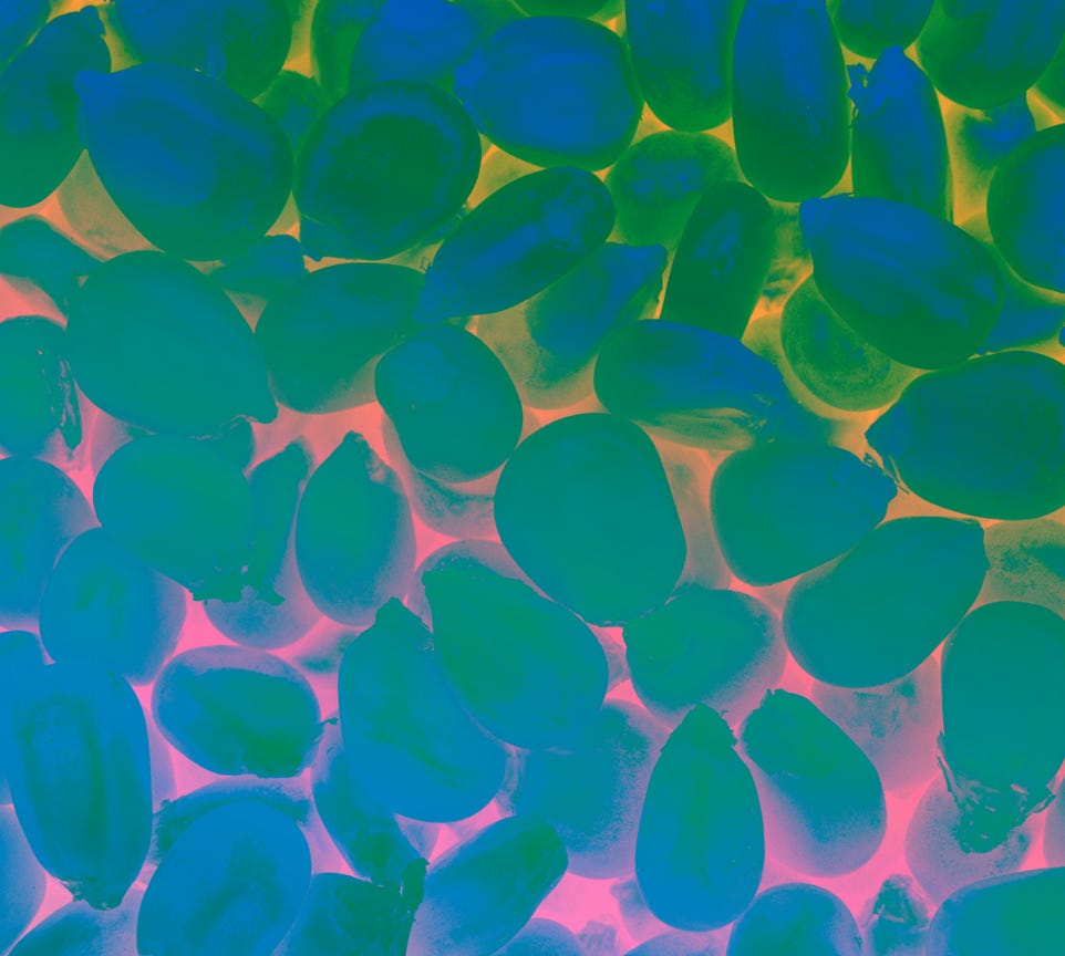 Foto De Rueda Dentada Dorada Sobre Fondo Negro